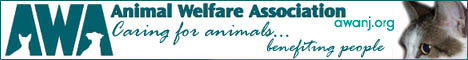 Animal Welfare Association